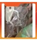 Bộ 8 miếng bịt ổ điện nhựa trong